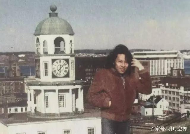 泰迪罗宾的故事