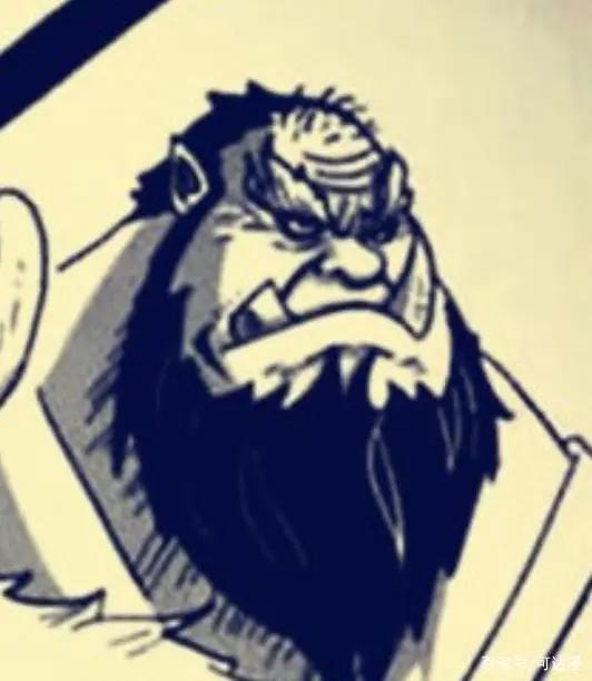 “老年版草帽团”来袭，罗宾娜美尽显老态，布鲁克却笑到最后