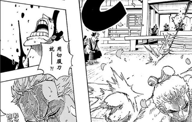 《海贼王》910话情报罗宾色诱将军索隆身份暴露被追杀