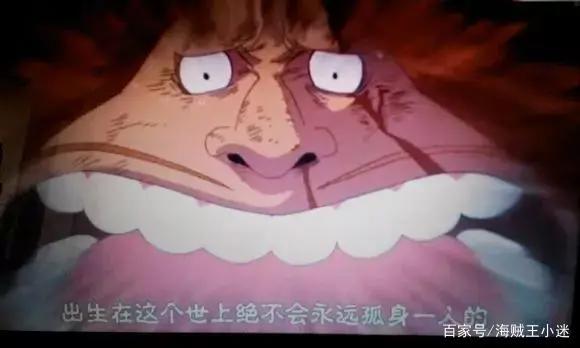 《海贼王》催泪合集每个人最初的梦想，你们还记得吗？（罗宾篇）