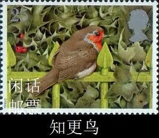“罗宾”是什么？是勇敢、忠贞、神秘的英国国鸟，知更鸟！