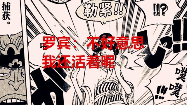 海贼王1037话：五老星凭啥觉得罗宾已经被捉了？凯多又翻白眼了