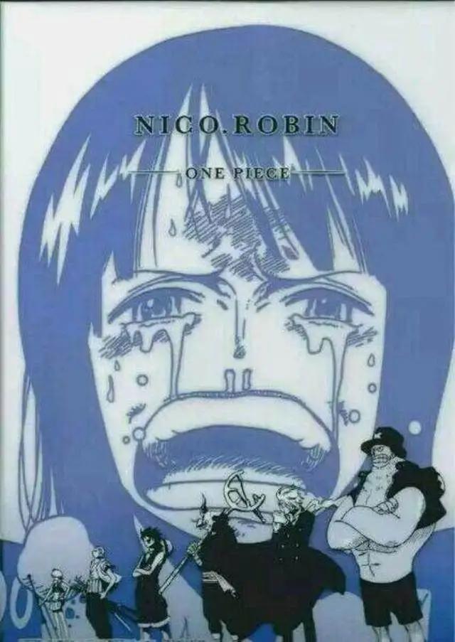 《海贼王》罗宾在草帽海贼团扮演这样的角色……大家都误会她了！