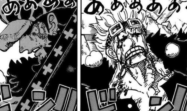 海贼王1055话：罗对罗宾踪迹关注密切，他想利用路飞成为海贼王