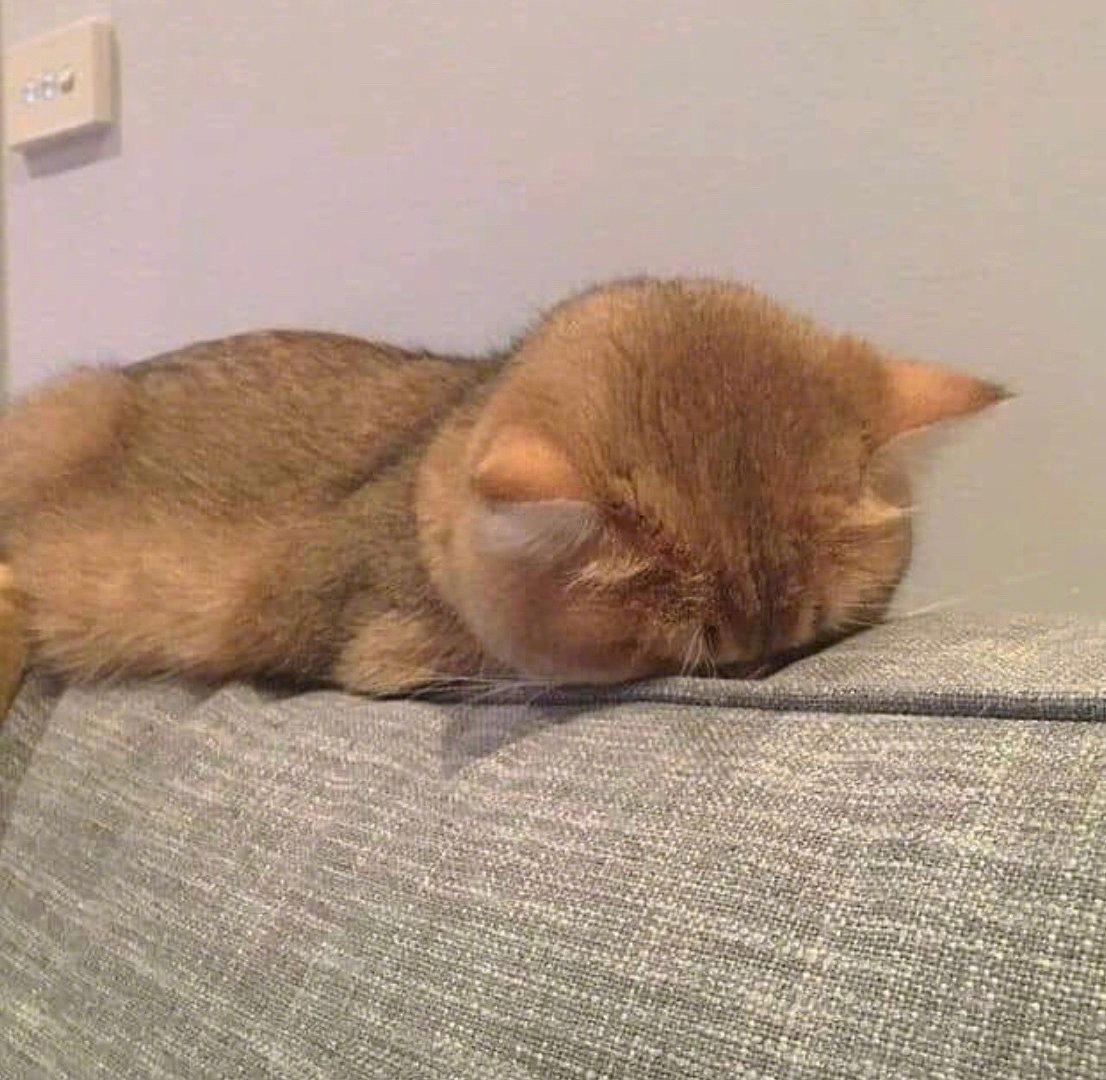 头像｜元气少女缘结神动漫头像