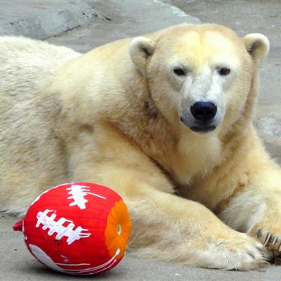 头像｜元气少女缘结神动漫头像