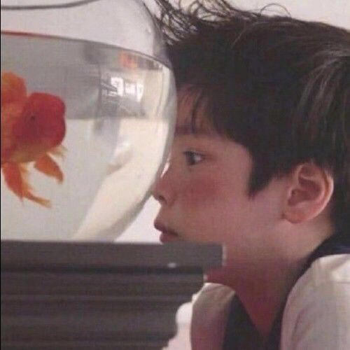 头像｜情侣头像卡通动漫