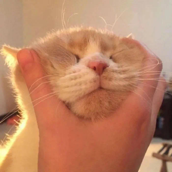 头像｜死神动漫头像