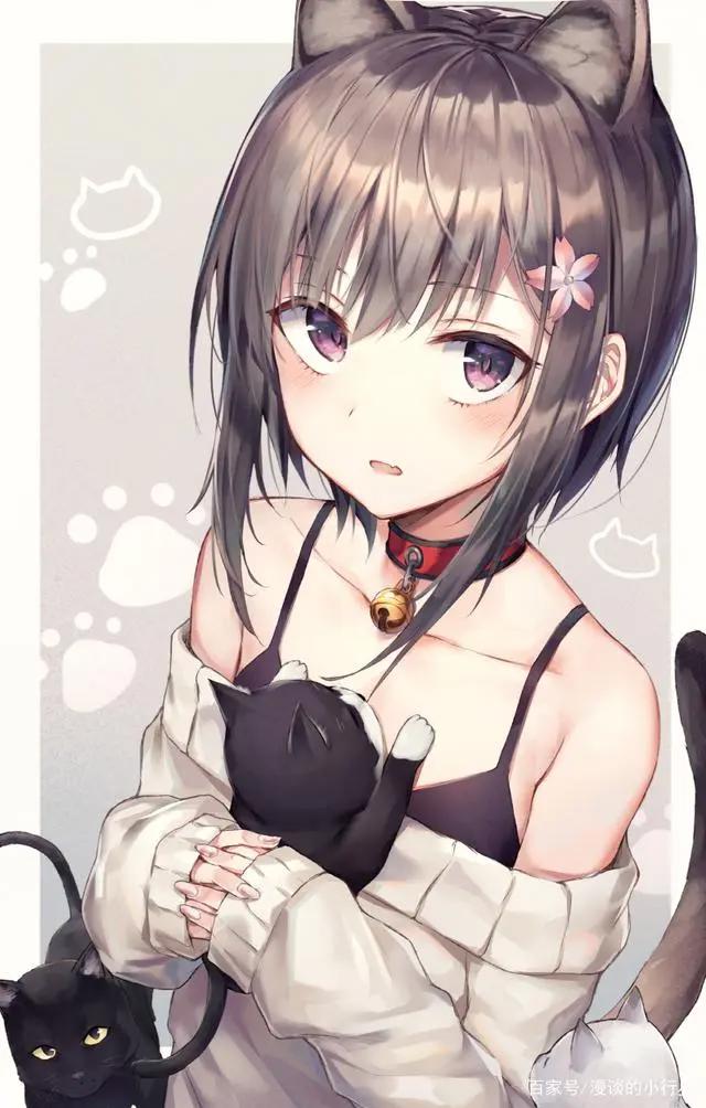 动漫少女：超美壁纸推荐，猫咪女孩系列，一起学猫叫吧！