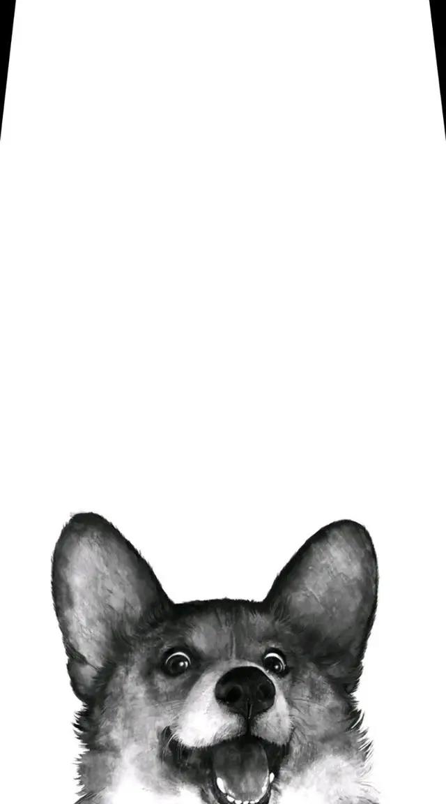 很喜欢的一些动漫图片