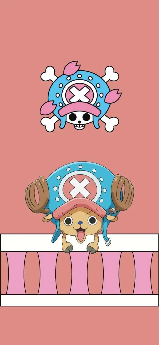 动漫壁纸｜航海王