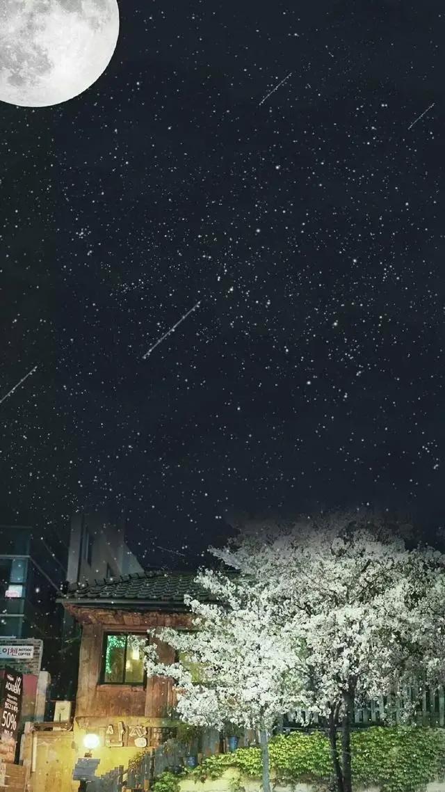 头像丨动漫星空手机壁纸