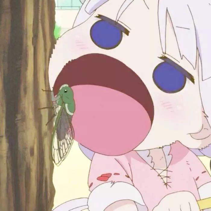 头像｜动漫沙雕人物恶搞头像图片