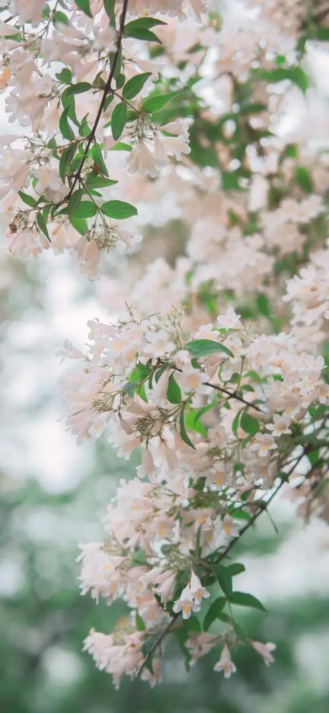 壁纸大放送，影视剧以及动漫高清大图