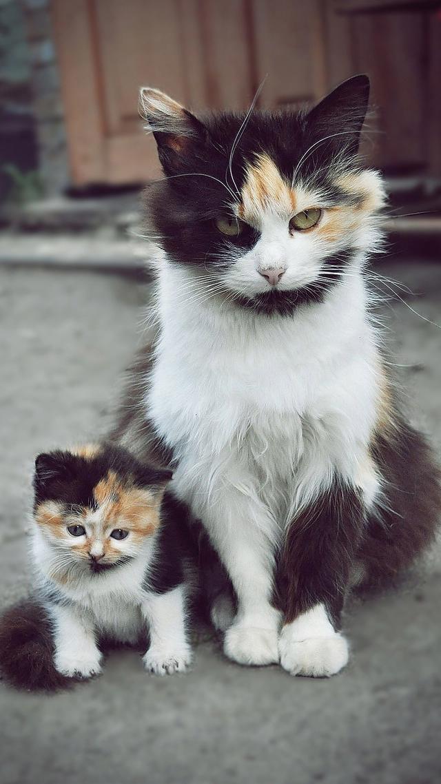 壁纸大放送，影视剧以及动漫高清大图