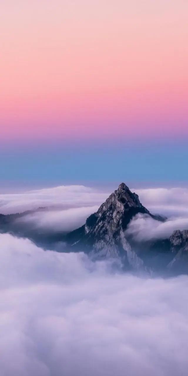 找出你最爱的壁纸：星空、美景、动漫都在这里，哪个才是你的最爱