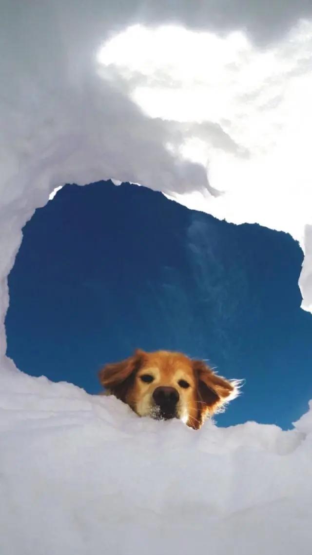 找出你最爱的壁纸：星空、美景、动漫都在这里，哪个才是你的最爱