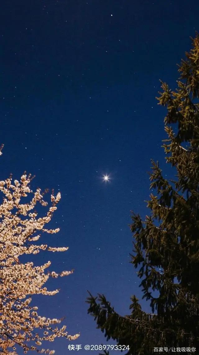 卡通风景壁纸精选