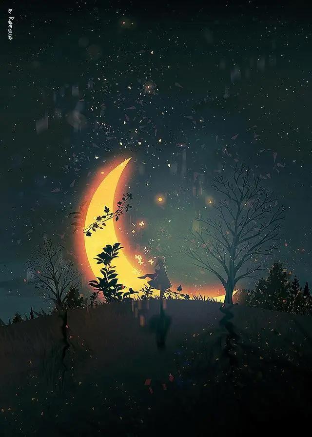 动漫壁纸、头像｜P站精选｜我用尽全力，向你眺望