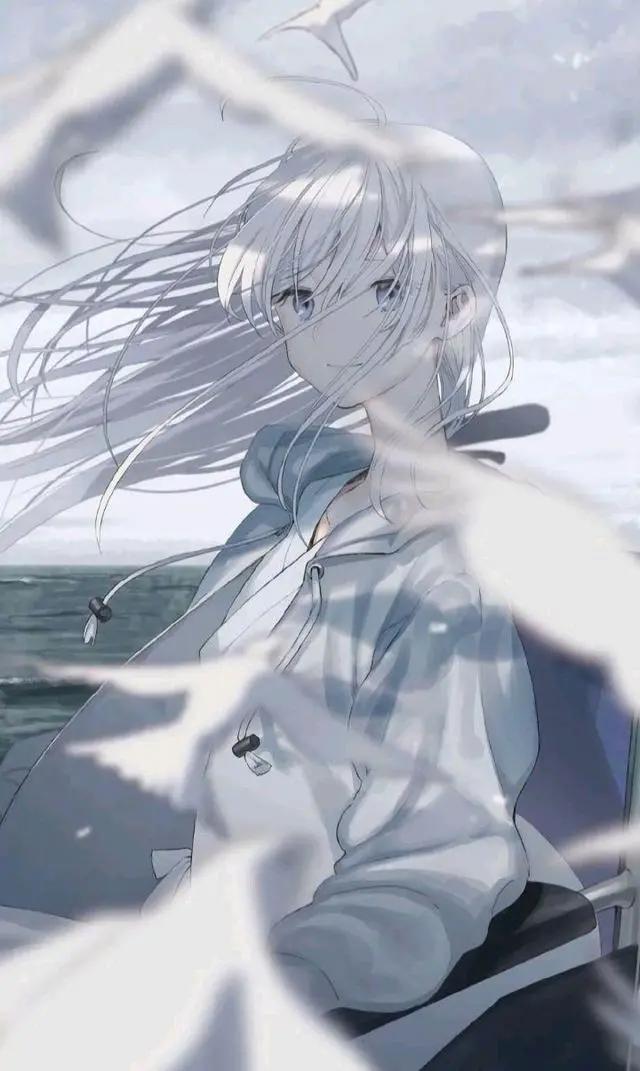 动漫少女壁纸分享，喜欢哪张自己拿