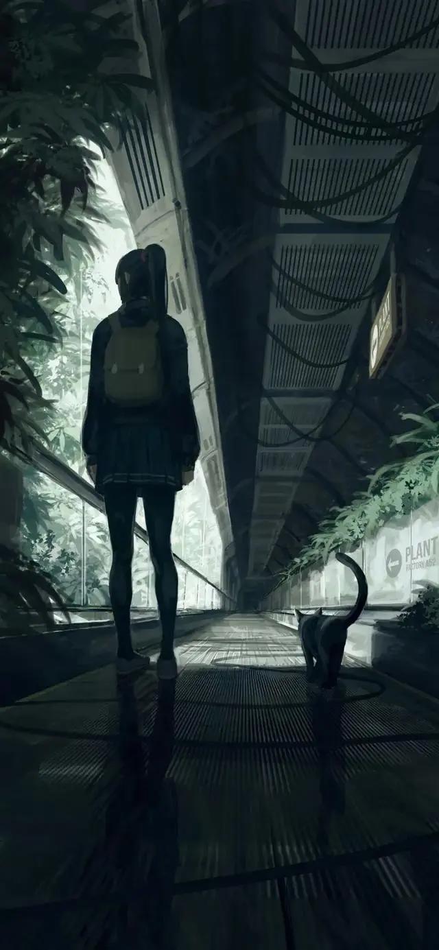 动漫壁纸丨要多温柔才配得上偏爱和例外