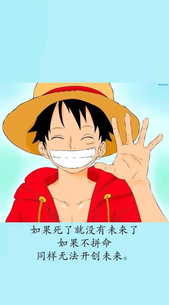 二次元壁纸，14张高清的海贼王壁纸，喜欢的快收下