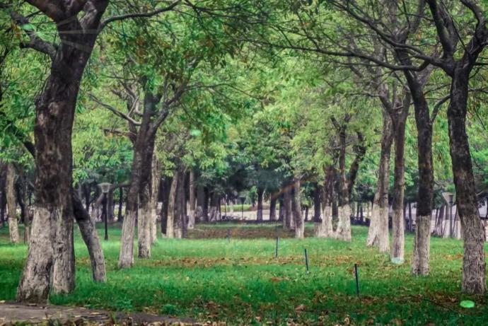 动漫版华南理工，你见过吗？