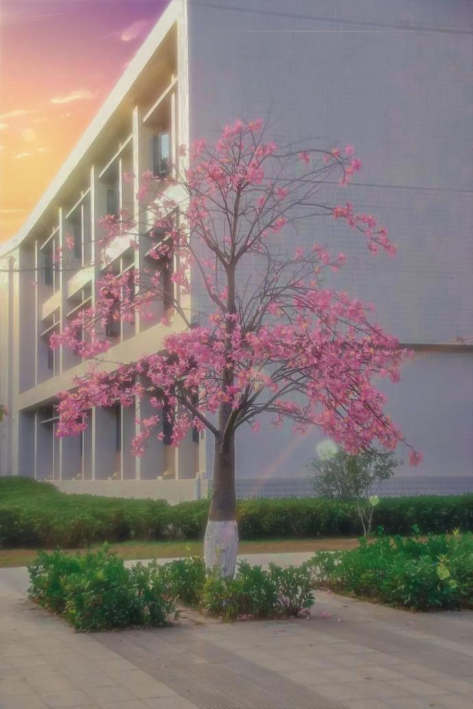 动漫版华南理工，你见过吗？
