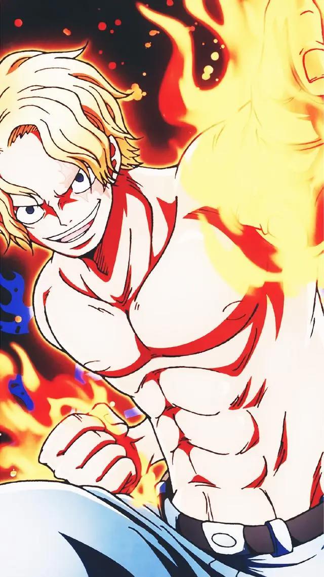 动漫壁纸——海贼王