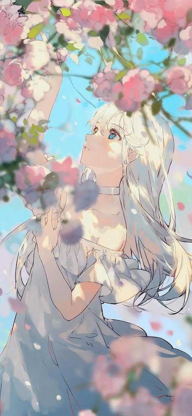 壁纸，动漫，动漫壁纸