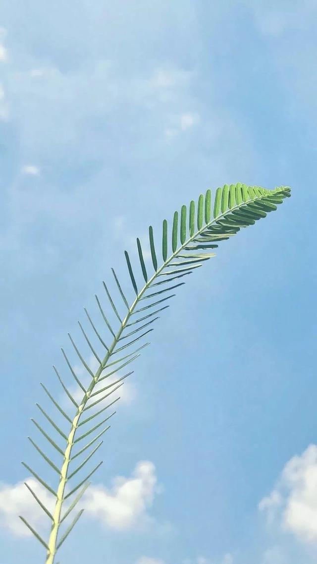 动漫壁纸丨十张无水印动漫插画壁纸！愿今日的高考学子考出佳绩！