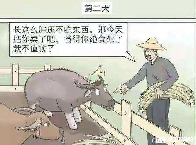 沙雕漫画图片集锦