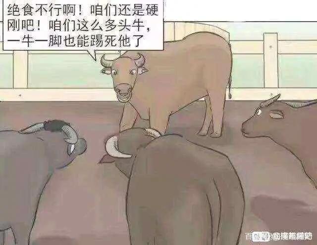 沙雕漫画图片集锦