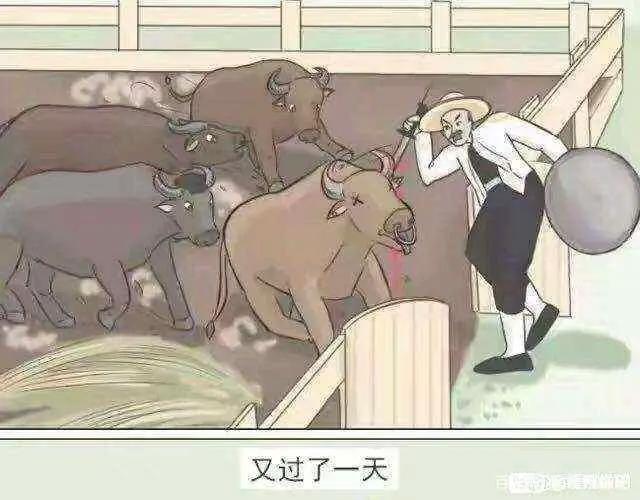 沙雕漫画图片集锦