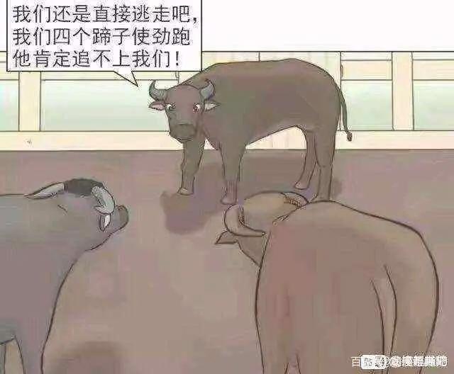 沙雕漫画图片集锦