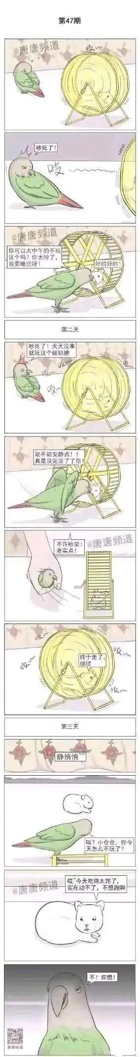 沙雕漫画图片集锦