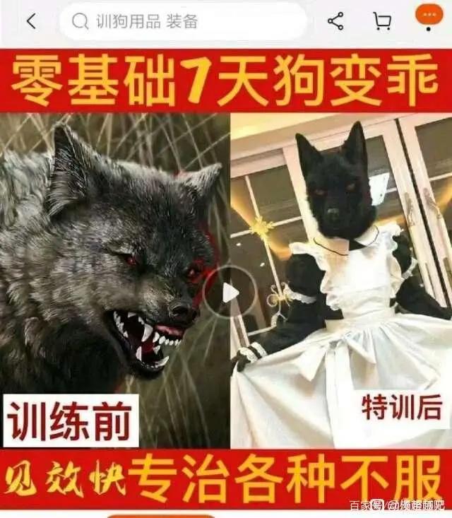 沙雕漫画图片集锦