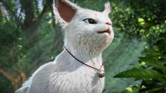 万界神主：官方珍藏高清动漫福利图片，沉浸颜值之中无法自拔