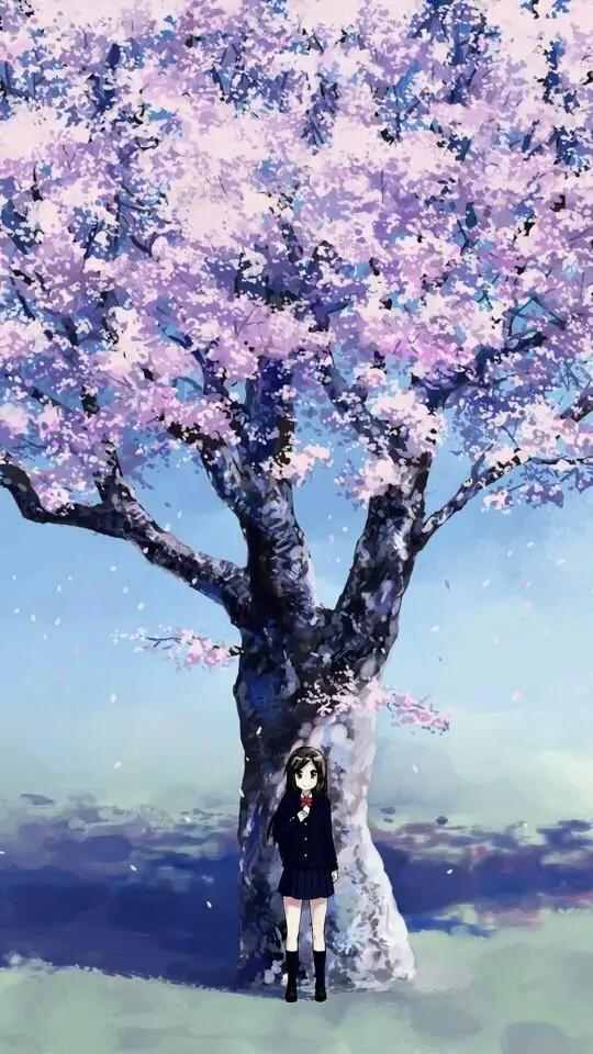 「动漫樱花图片」粉红的花瓣飘落进春天里