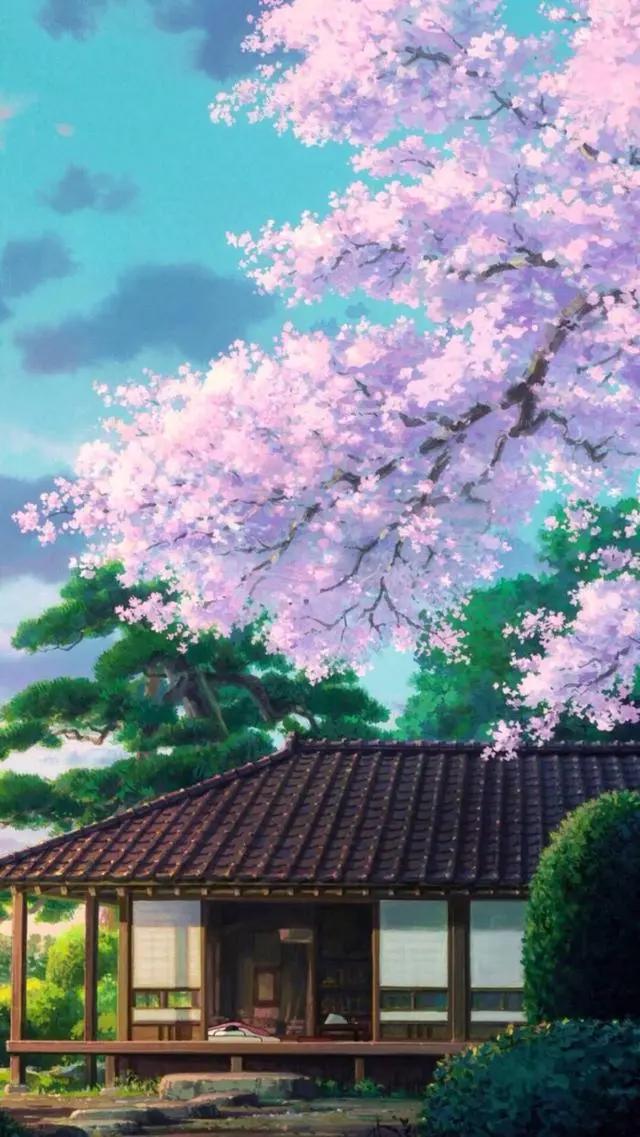 「动漫樱花图片」粉红的花瓣飘落进春天里