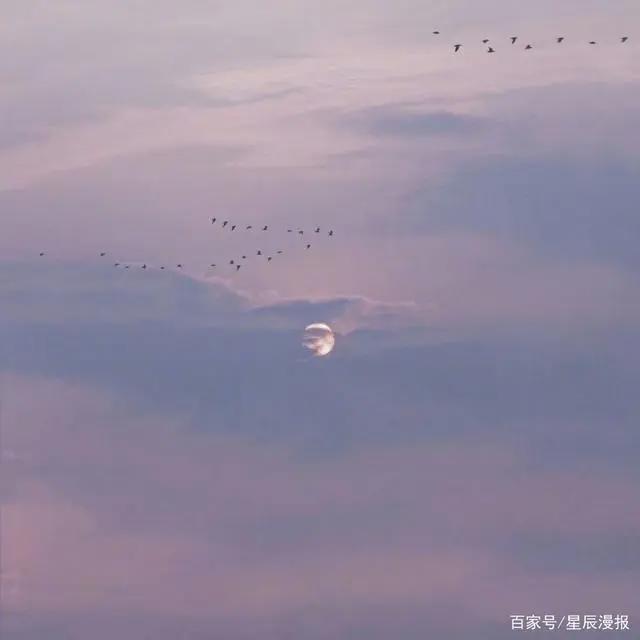 混合动漫精美图片/夏目友人帐/天空/狐妖小红娘