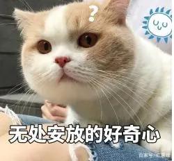 一键在线生成！微信漫画卡通风头像，看看二次元的你长什么样子