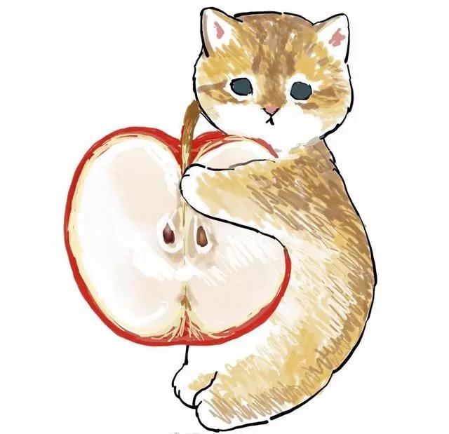 动漫爱好者的福音：盘点那些超好看的动漫头像