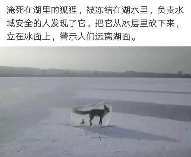 爆笑合集：这是什么动漫图片，这也太帅了
