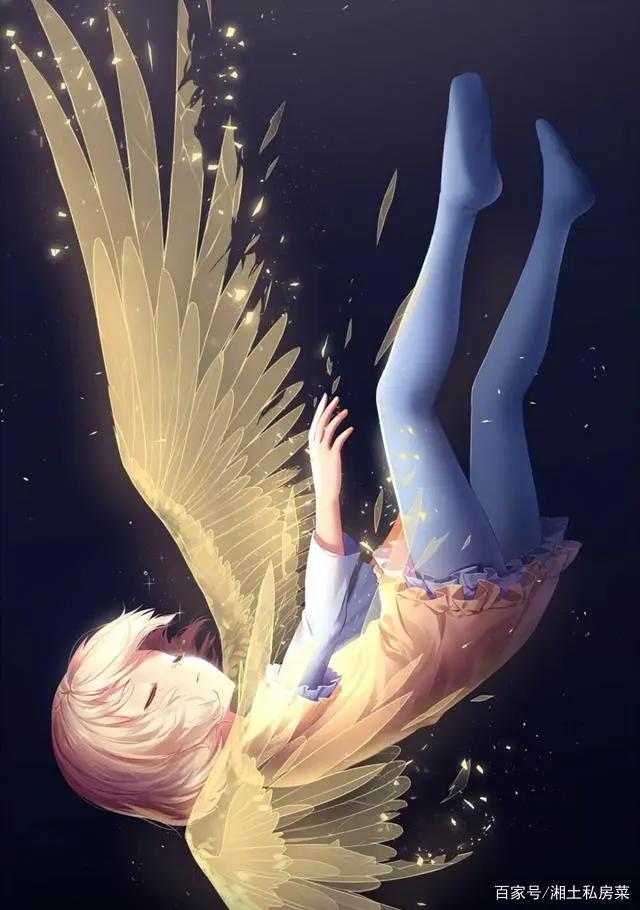 各种动漫美女，帅哥，风景分享