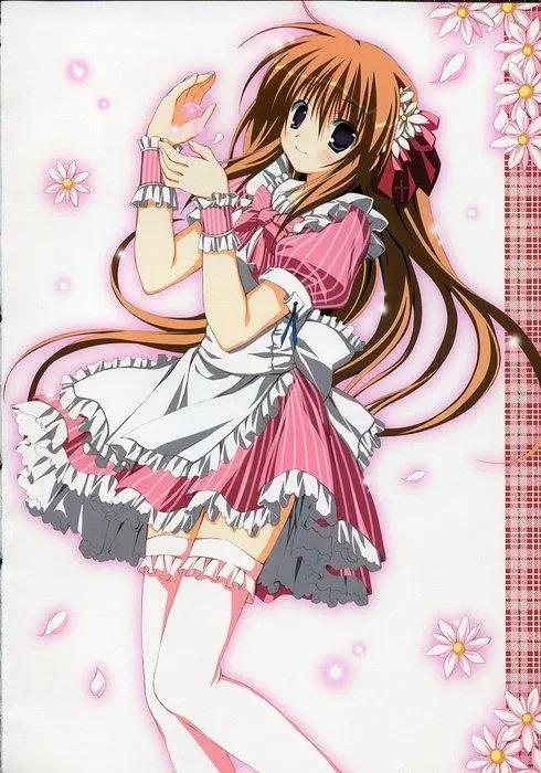 动漫特辑：动漫白丝连裤长袜美少女，你更喜欢哪一个呢？