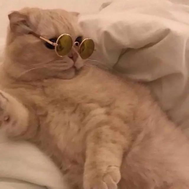 动漫情侣头像分享