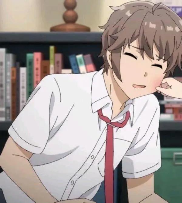 动漫情侣头像集（青春猪头少年）