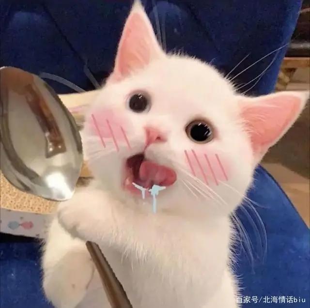 卡通动漫情侣头像丨你的眼眸，温暖了我整个四季