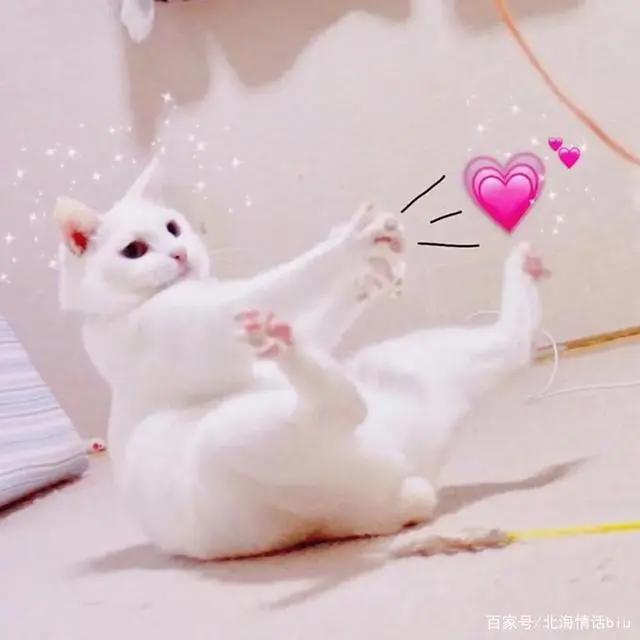 卡通动漫情侣头像丨你的眼眸，温暖了我整个四季